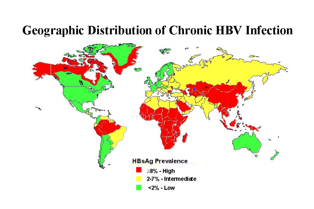 Almost The World is Infected With Hepatitis B Virus (HBV)