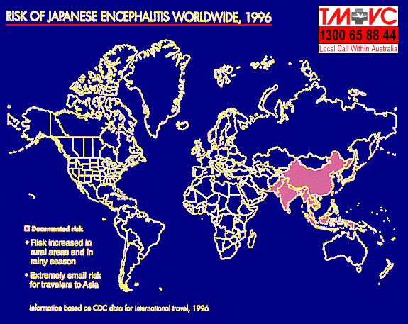 flavivirus yellow fever, west nile virus, yellow fever, flaviviridae, west nile virus flavivirus, west nile virus flavivirus infections, flavivirus family