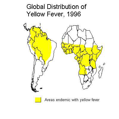 Yellow Fever, Yellow Fever Virus